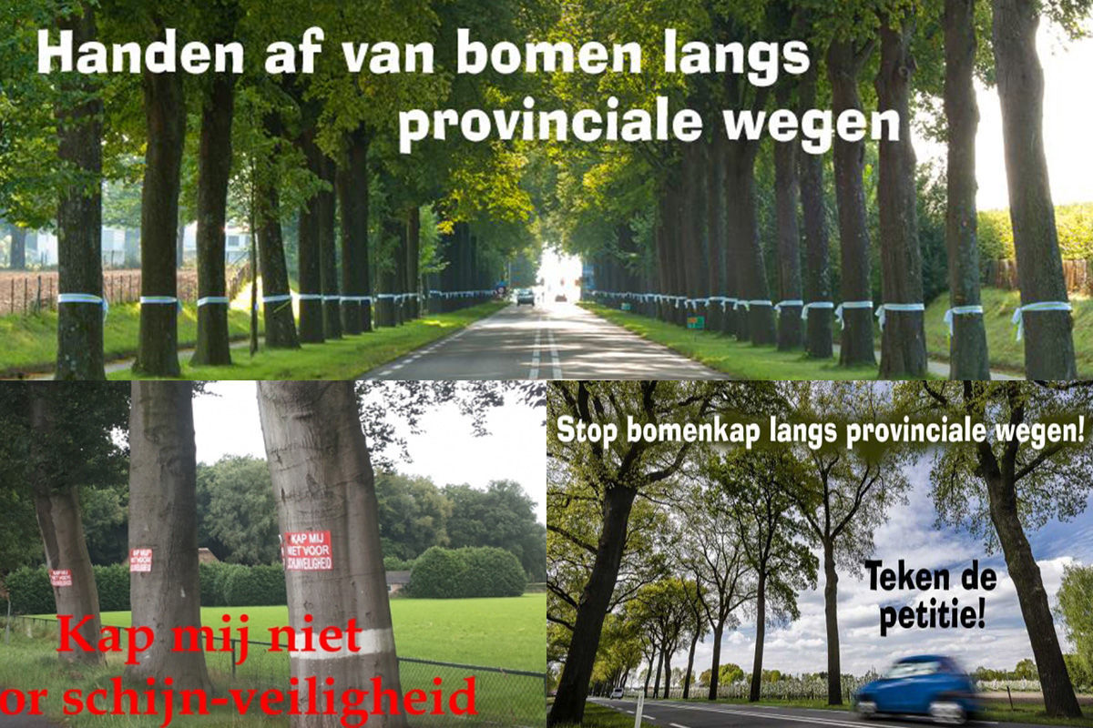 Stop bomenkap langs provinciale wegen