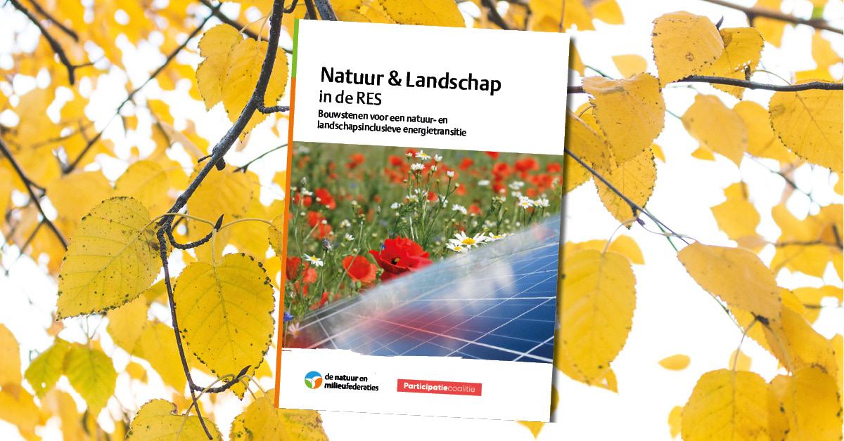 Publicatie | Natuur en landschap verdienen volwaardige plek in de regionale energiestrategie