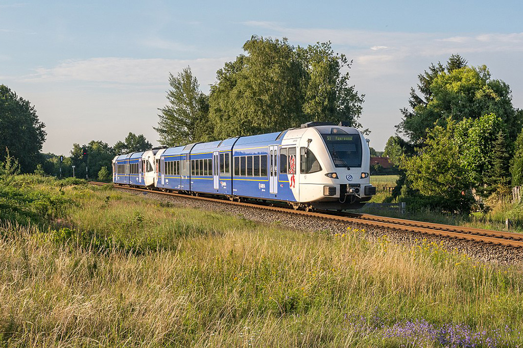 Opwaardering Maaslijn kost bomen