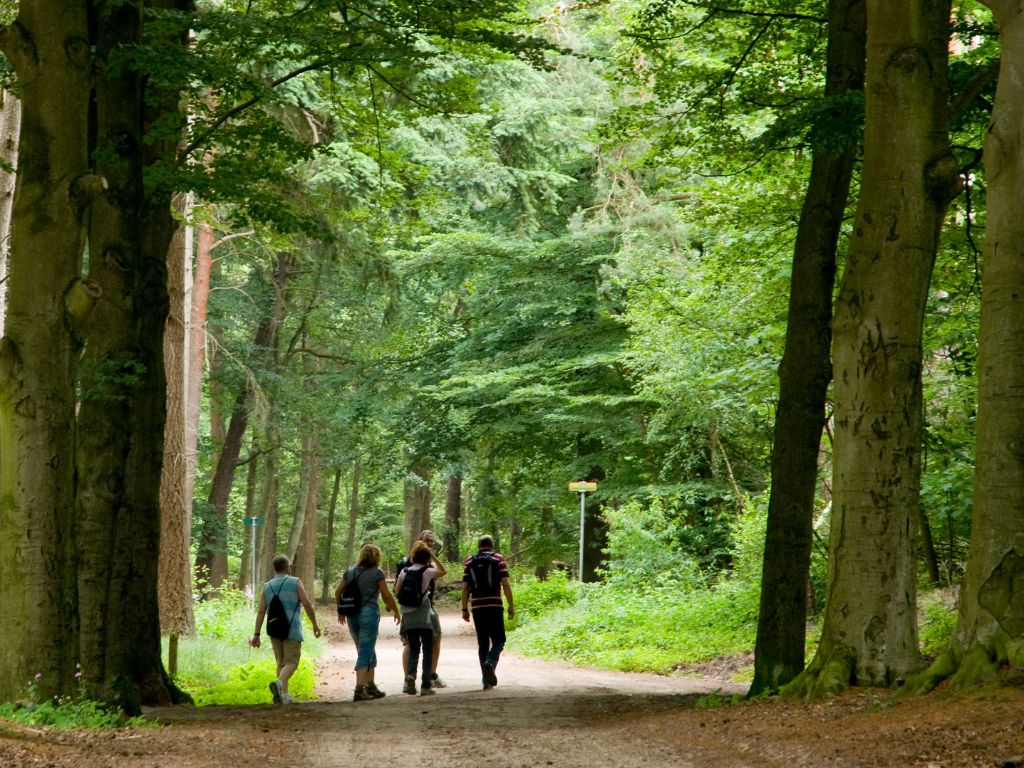 Natuurherstel en milieubescherming: mooie woorden, maar volgt er concrete actie?