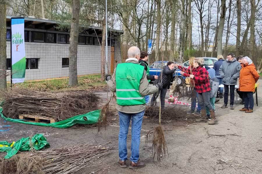 Inwoners Sittard-Geleen kunnen gratis boom ophalen