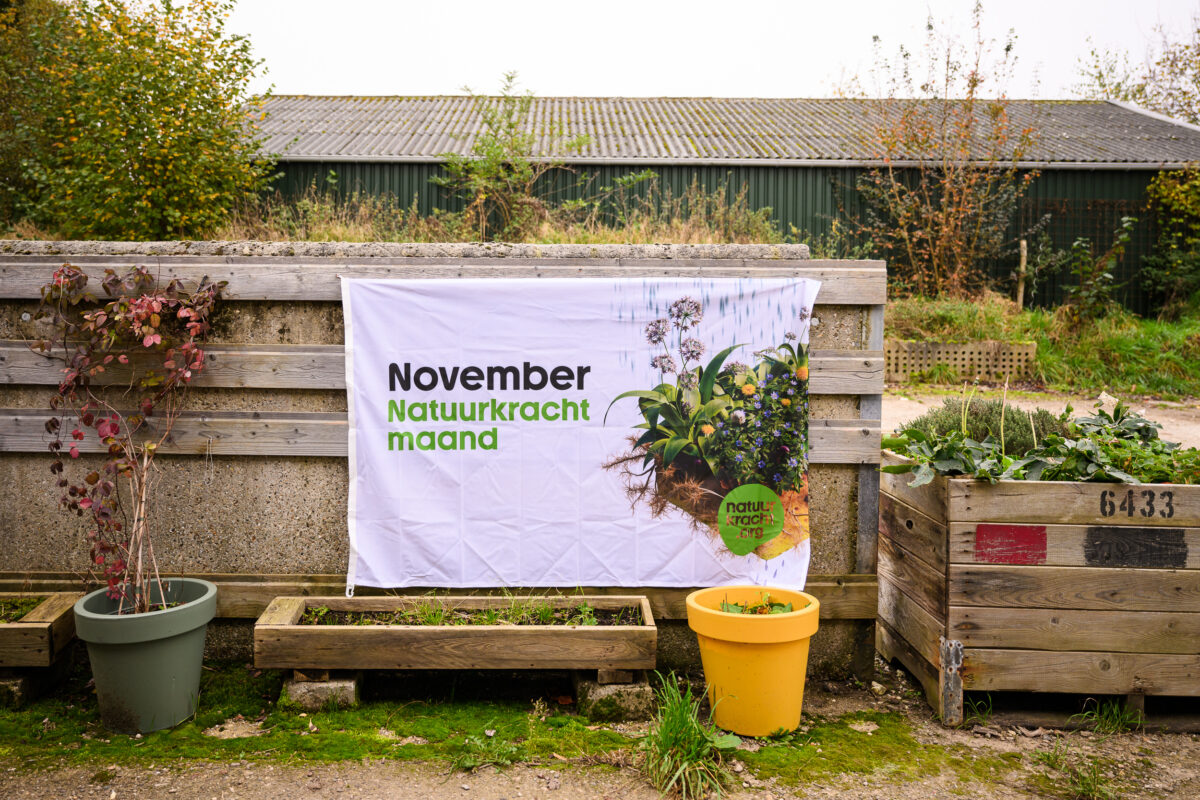 Doe mee met november Natuurkrachtmaand