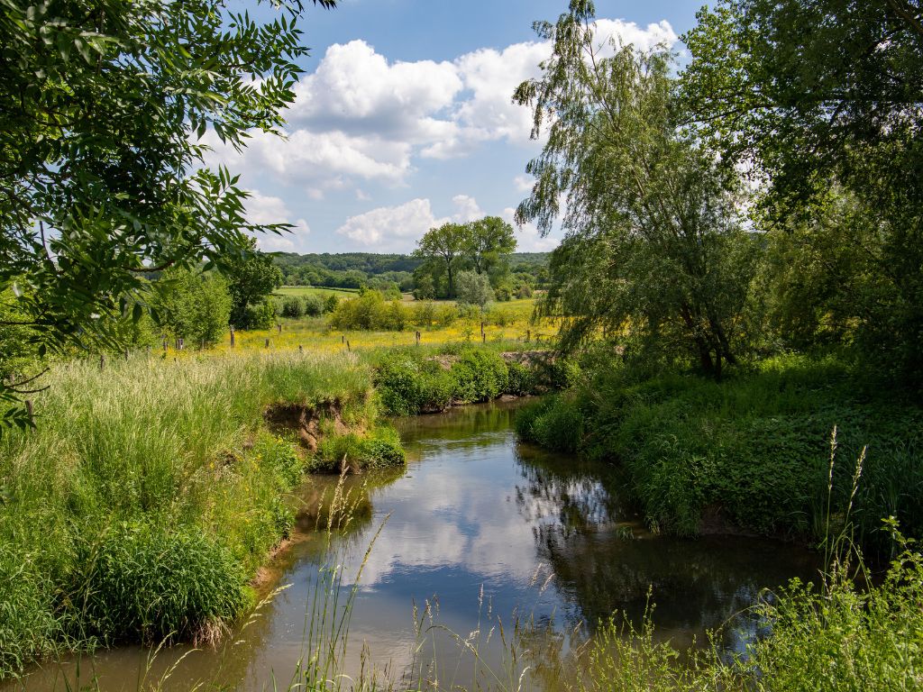 De ecologische kwaliteit van Europees beschermde Limburgse beken